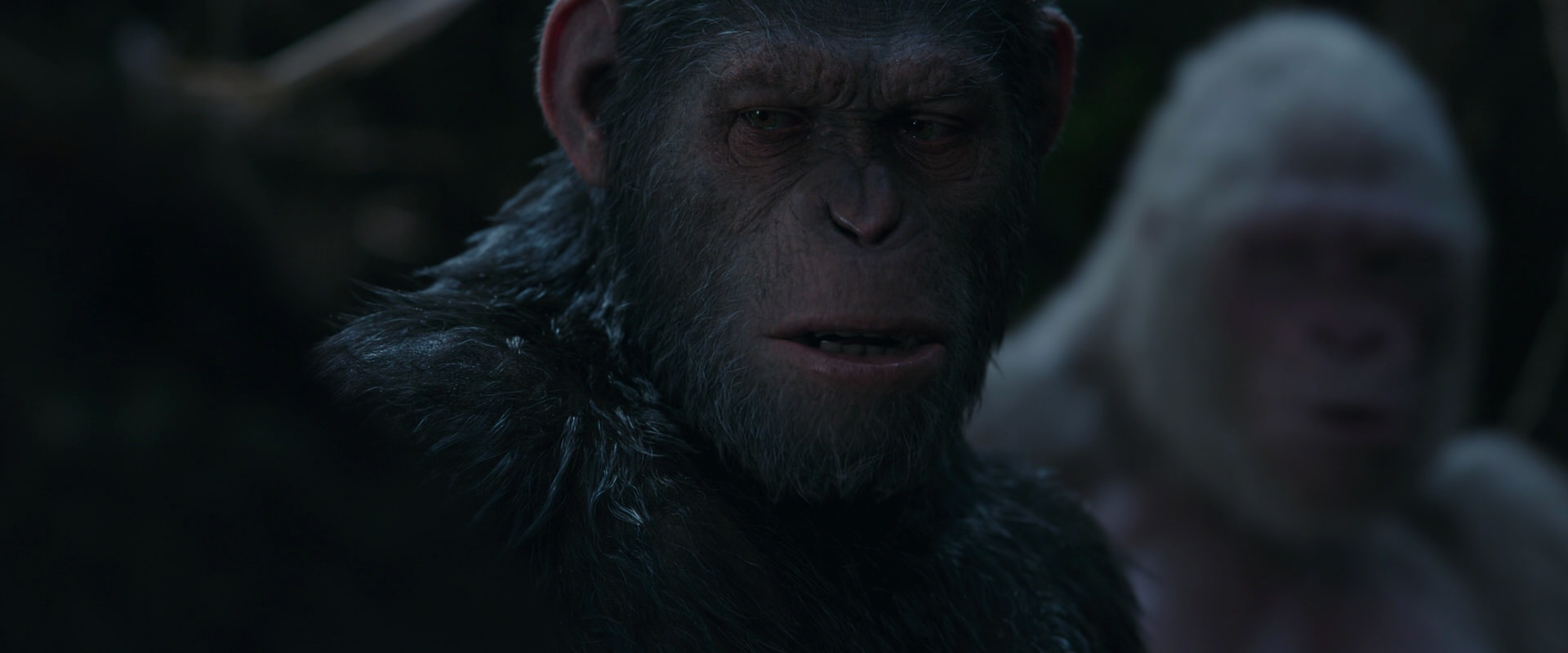 War for the Planet of the Apes (2017) HD screenshot 1061
