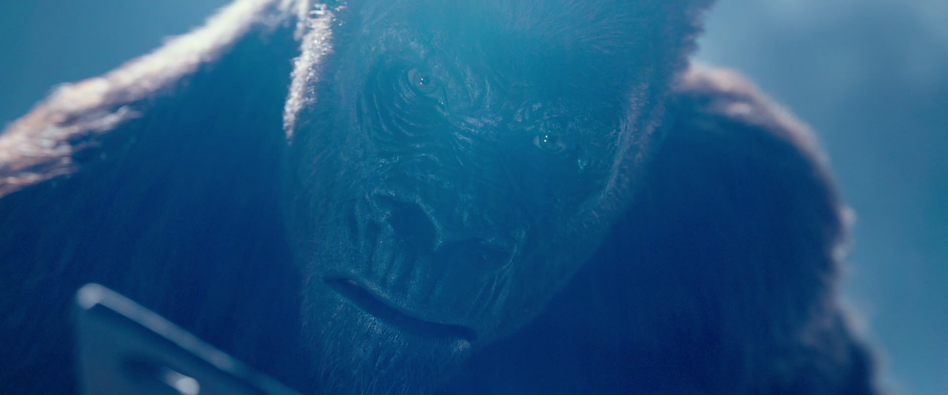 War for the Planet of the Apes (2017) movie still 10612