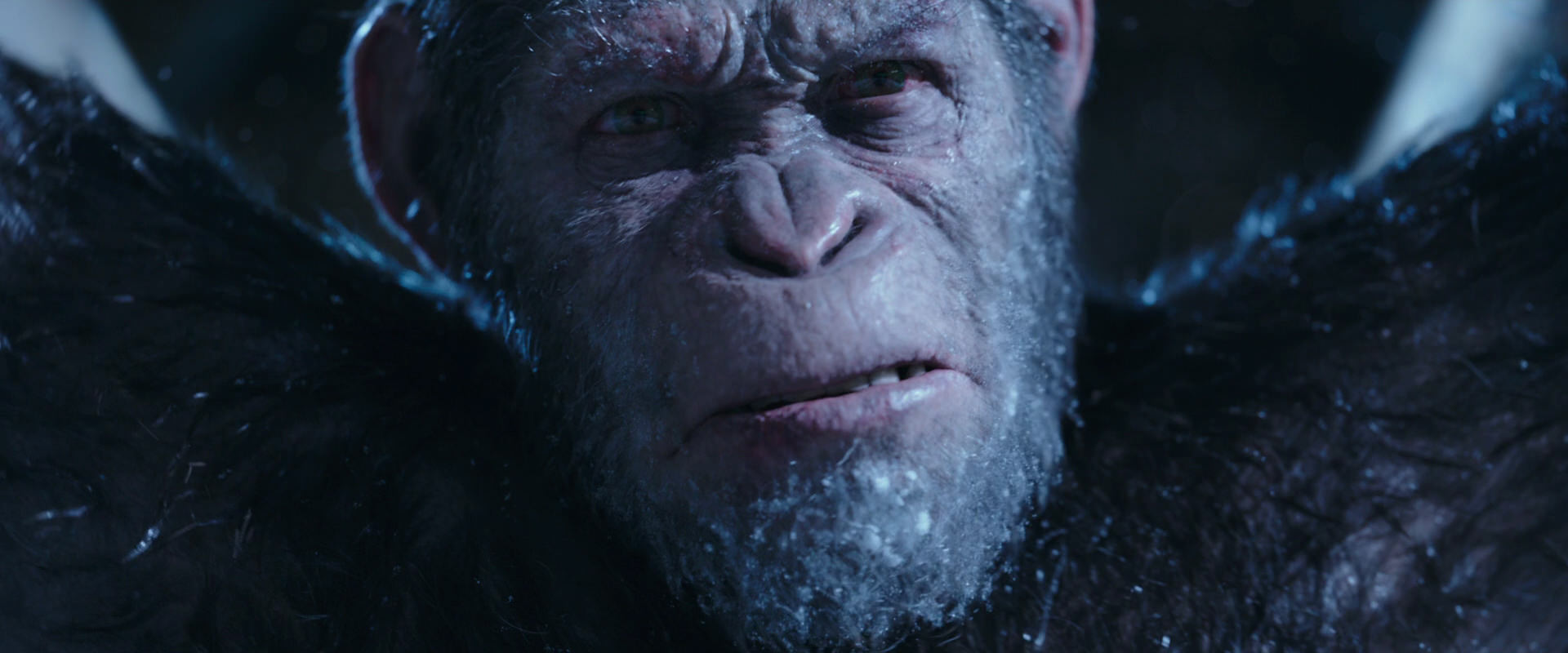 War for the Planet of the Apes (2017) movie still 10615