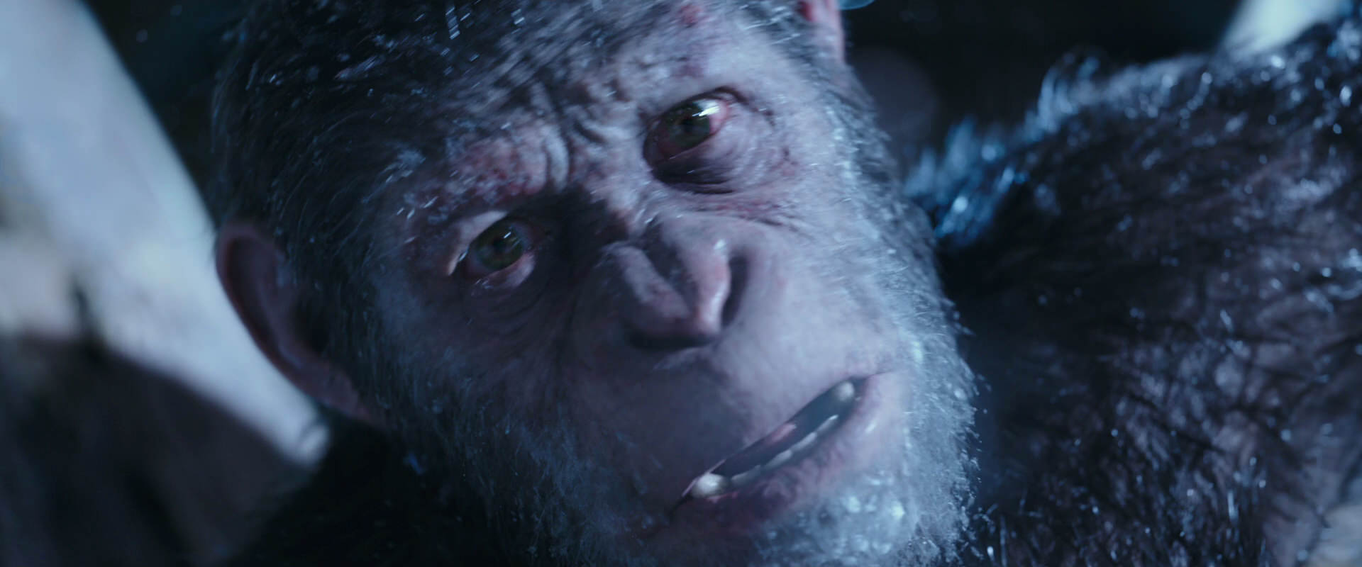 War for the Planet of the Apes (2017) screencap 10617