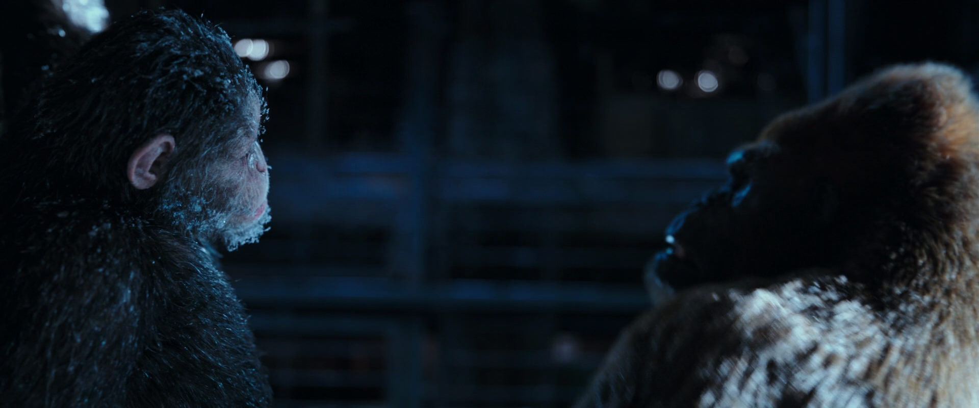 War for the Planet of the Apes (2017) movie still 10618