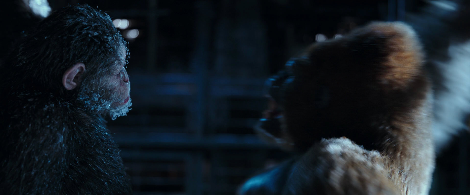 War for the Planet of the Apes (2017) HD screenshot 10619