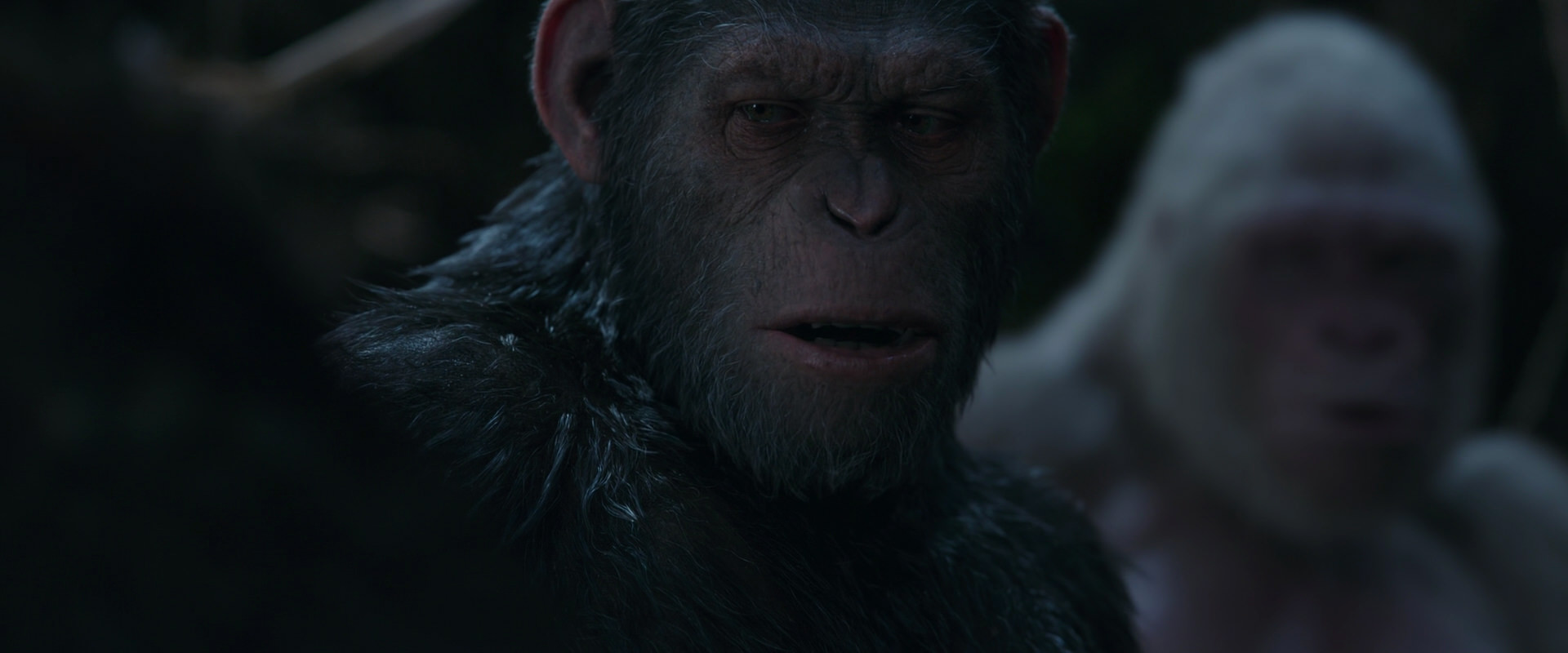 War for the Planet of the Apes (2017) screencap 1062