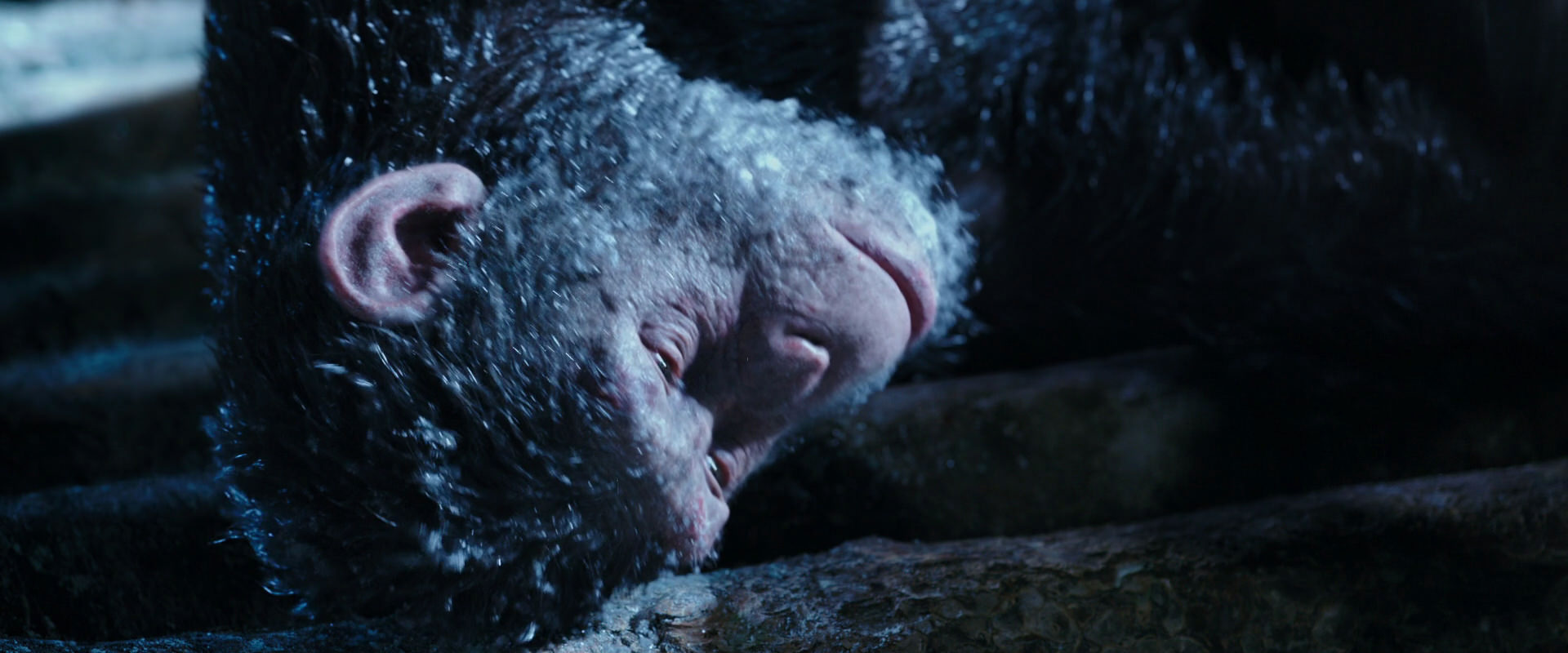 War for the Planet of the Apes (2017) HD screenshot 10625