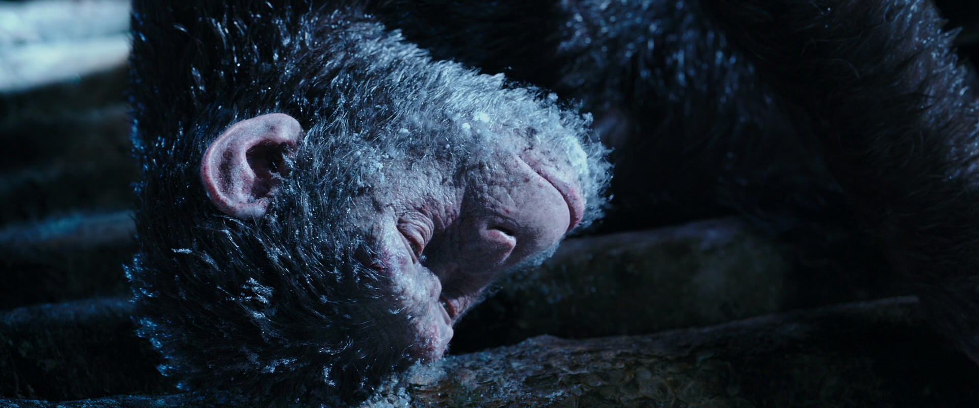 War for the Planet of the Apes (2017) screencap 10626