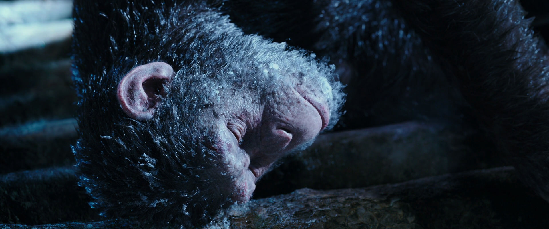War for the Planet of the Apes (2017) movie still 10627