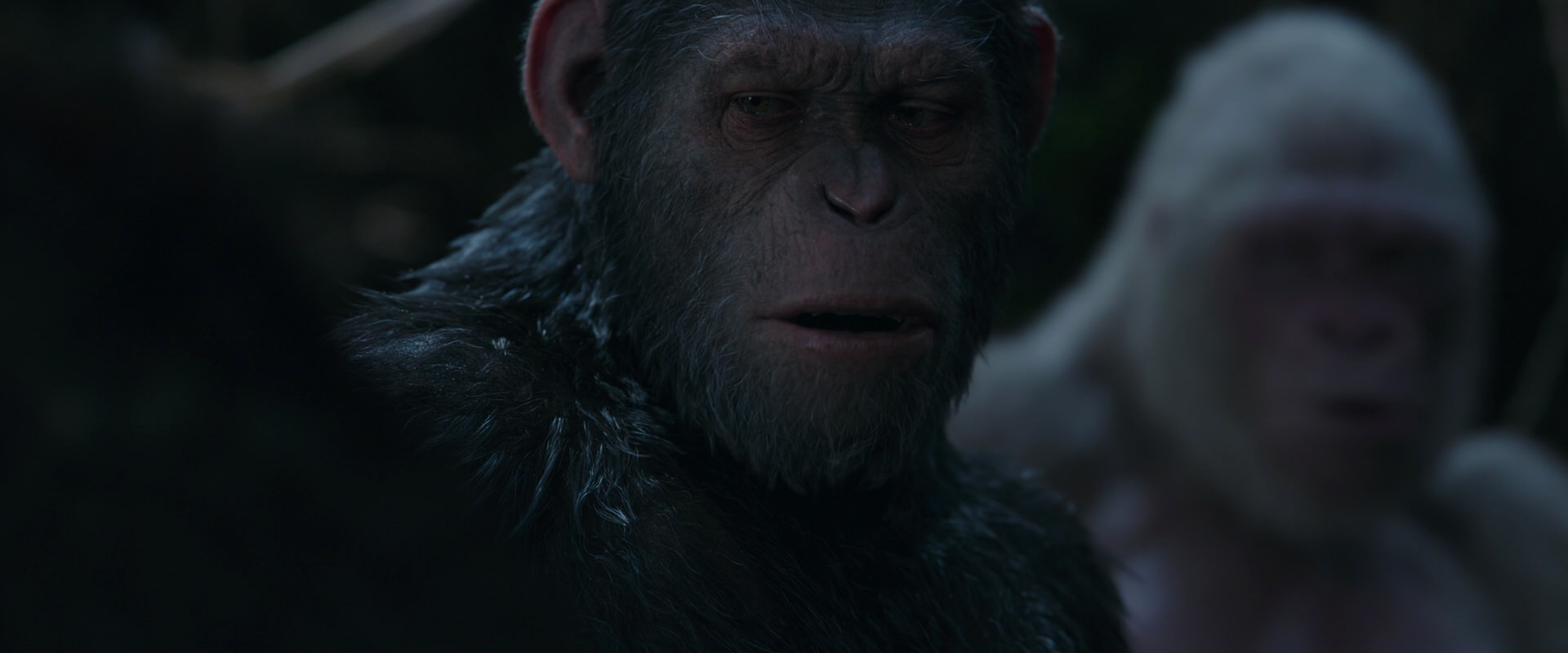 War for the Planet of the Apes (2017) movie still 1063
