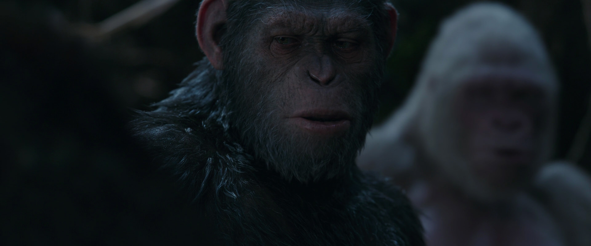 War for the Planet of the Apes (2017) HD screenshot 1064
