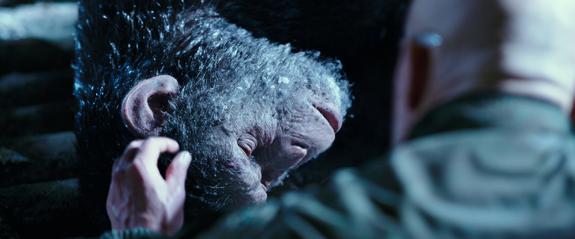 War for the Planet of the Apes (2017) screencap 10641