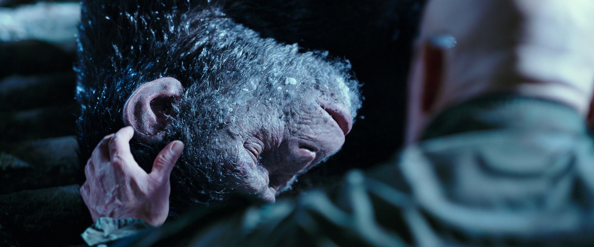 War for the Planet of the Apes (2017) movie still 10642