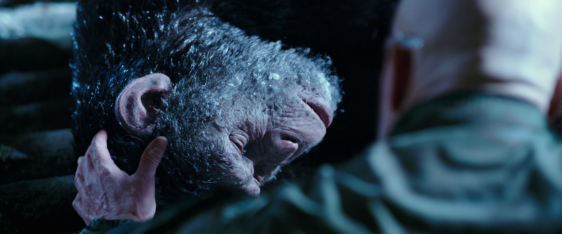 War for the Planet of the Apes (2017) HD screenshot 10643