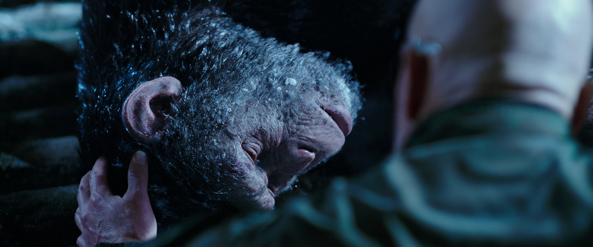 War for the Planet of the Apes (2017) movie still 10645