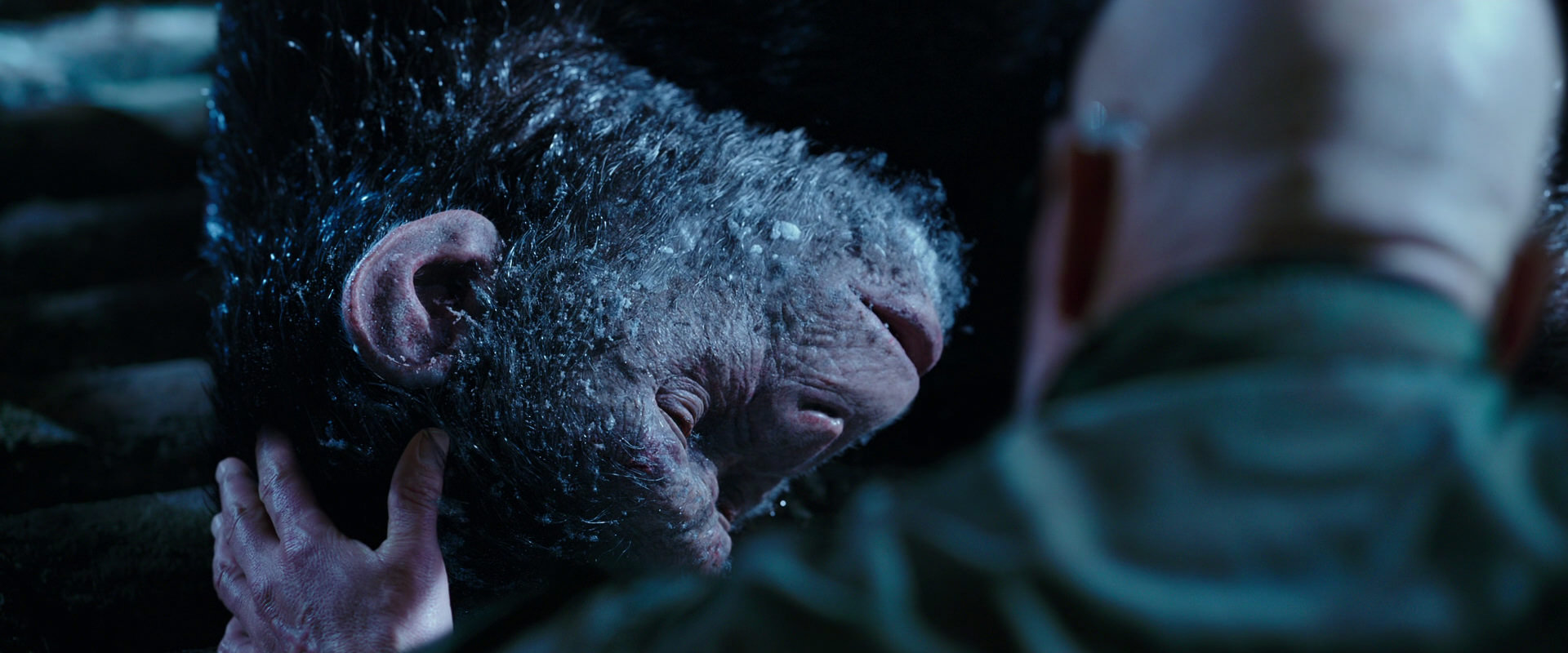War for the Planet of the Apes (2017) screencap 10647