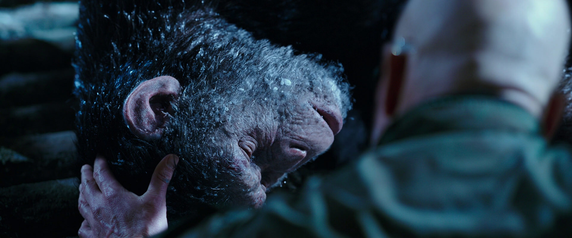War for the Planet of the Apes (2017) movie still 10648
