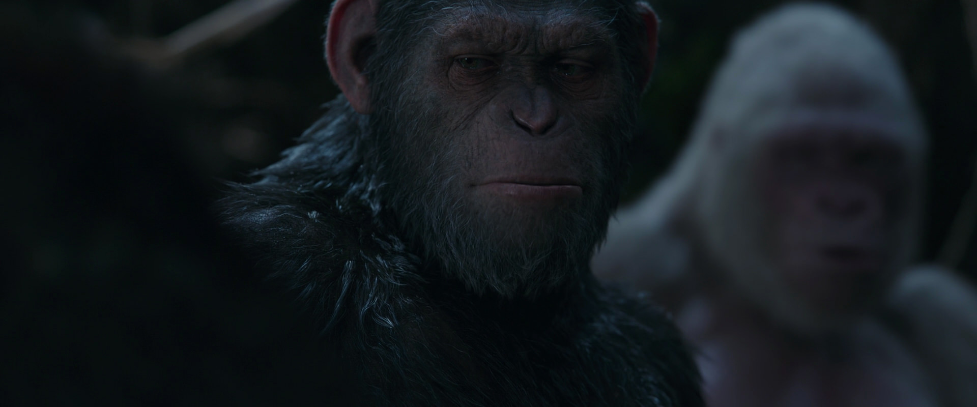 War for the Planet of the Apes (2017) screencap 1065