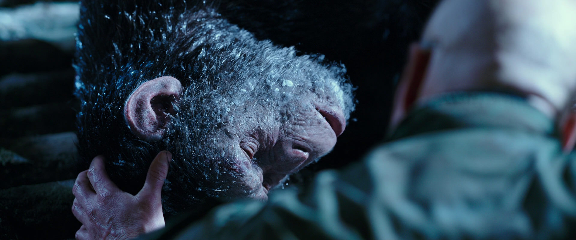 War for the Planet of the Apes (2017) screencap 10650