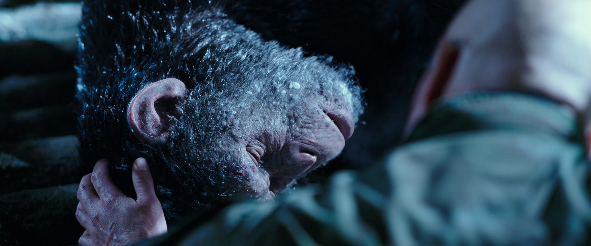 War for the Planet of the Apes (2017) movie still 10651
