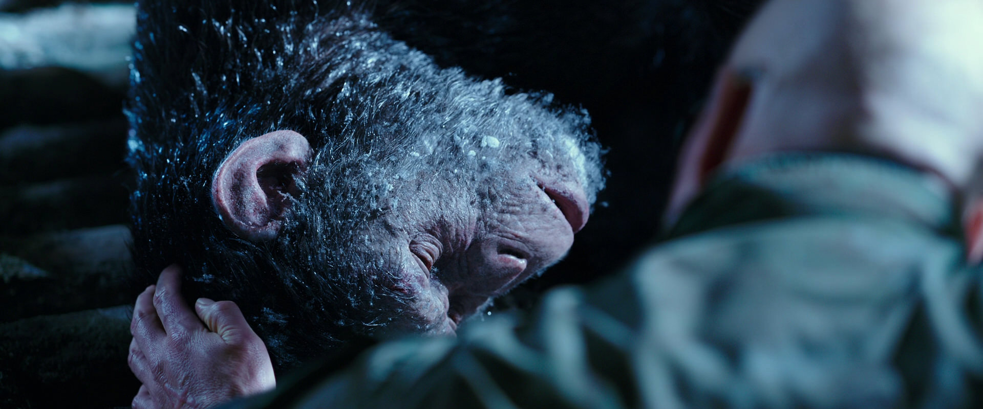 War for the Planet of the Apes (2017) HD screenshot 10652