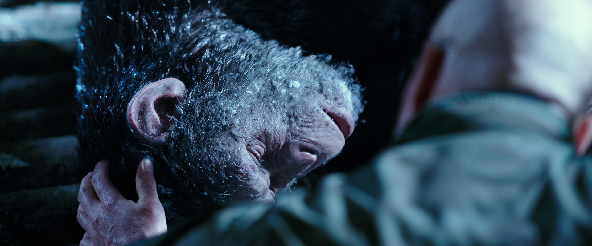 War for the Planet of the Apes (2017) screencap 10653