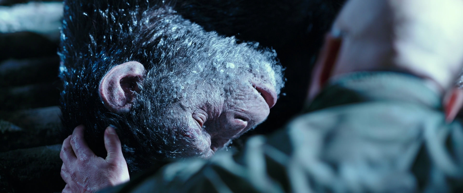 War for the Planet of the Apes (2017) movie still 10654
