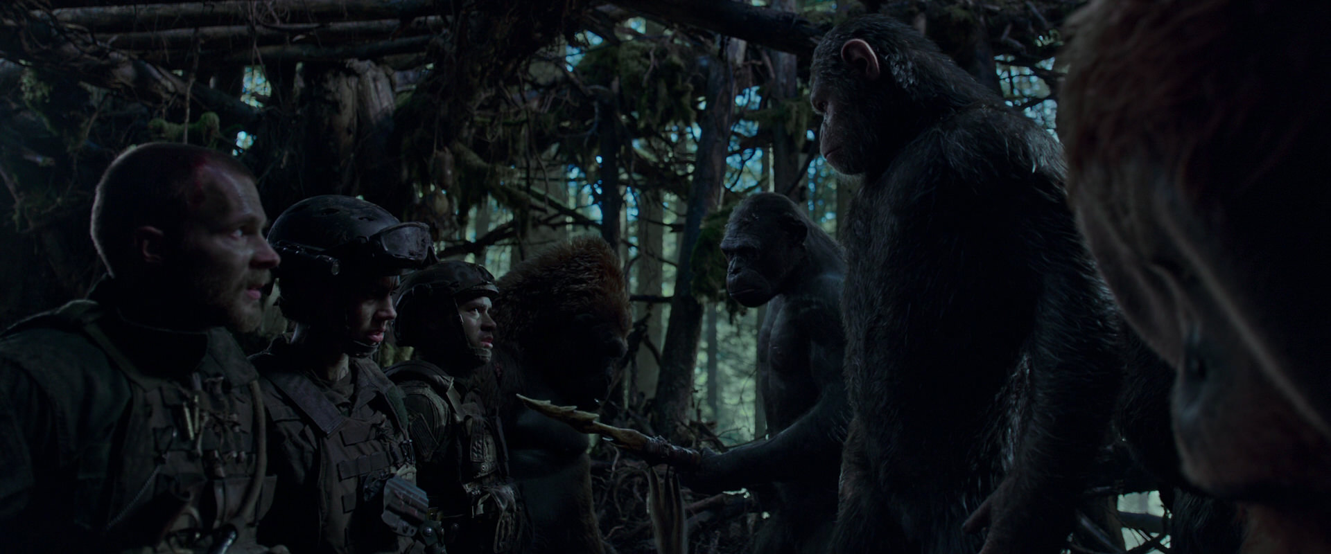 War for the Planet of the Apes (2017) movie still 1066
