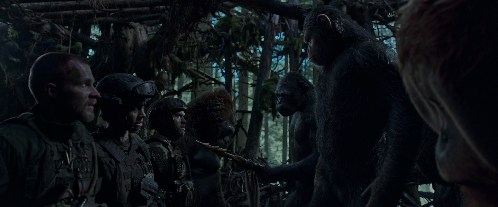 War for the Planet of the Apes (2017) screencap 1068