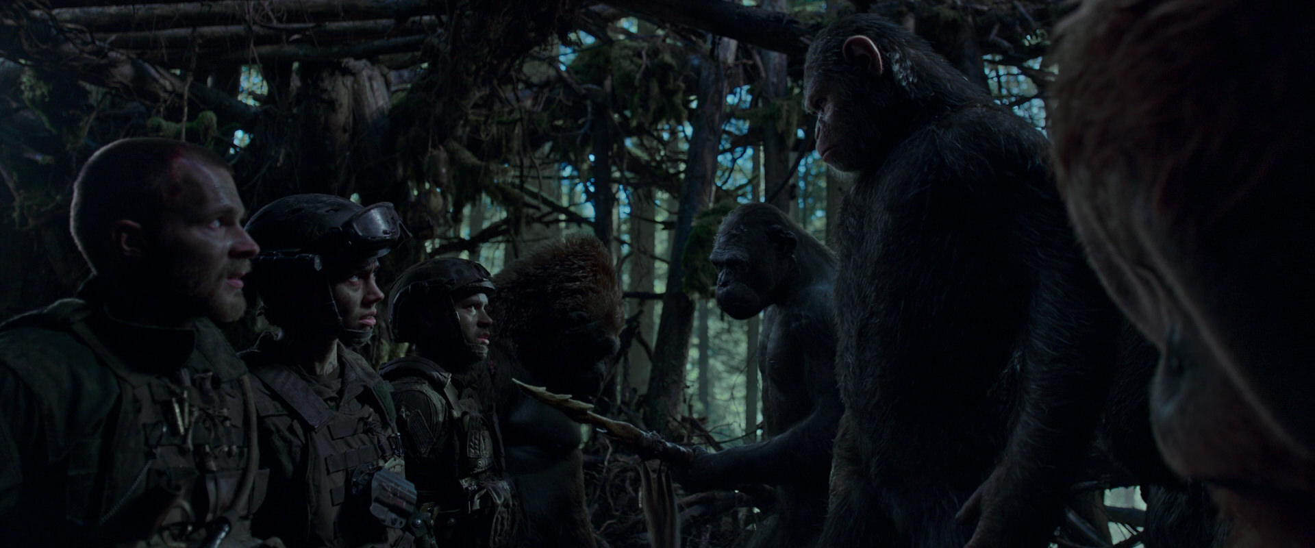 War for the Planet of the Apes (2017) movie still 1069