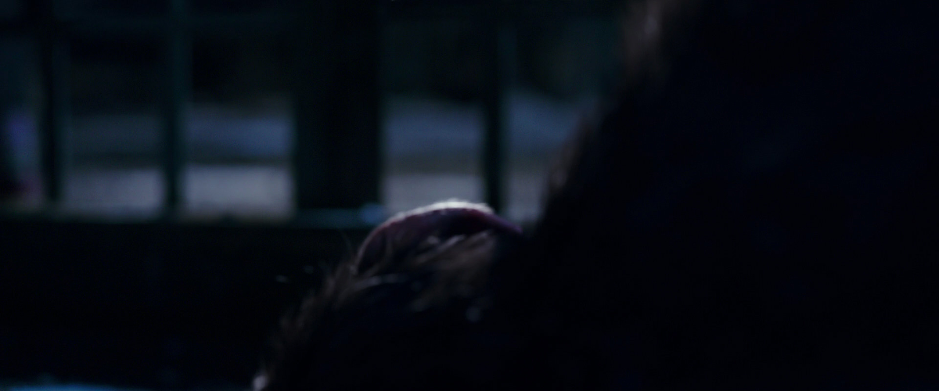 War for the Planet of the Apes (2017) screencap 10695