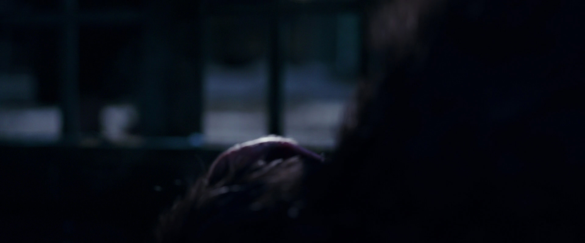 War for the Planet of the Apes (2017) screencap 10698
