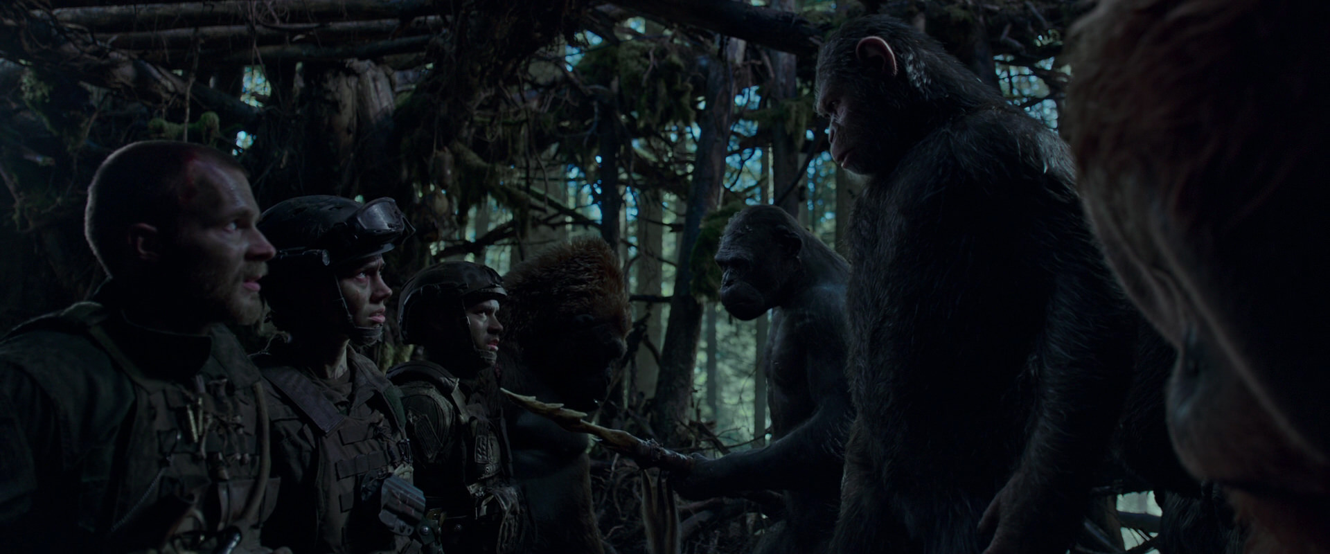War for the Planet of the Apes (2017) screencap 1071