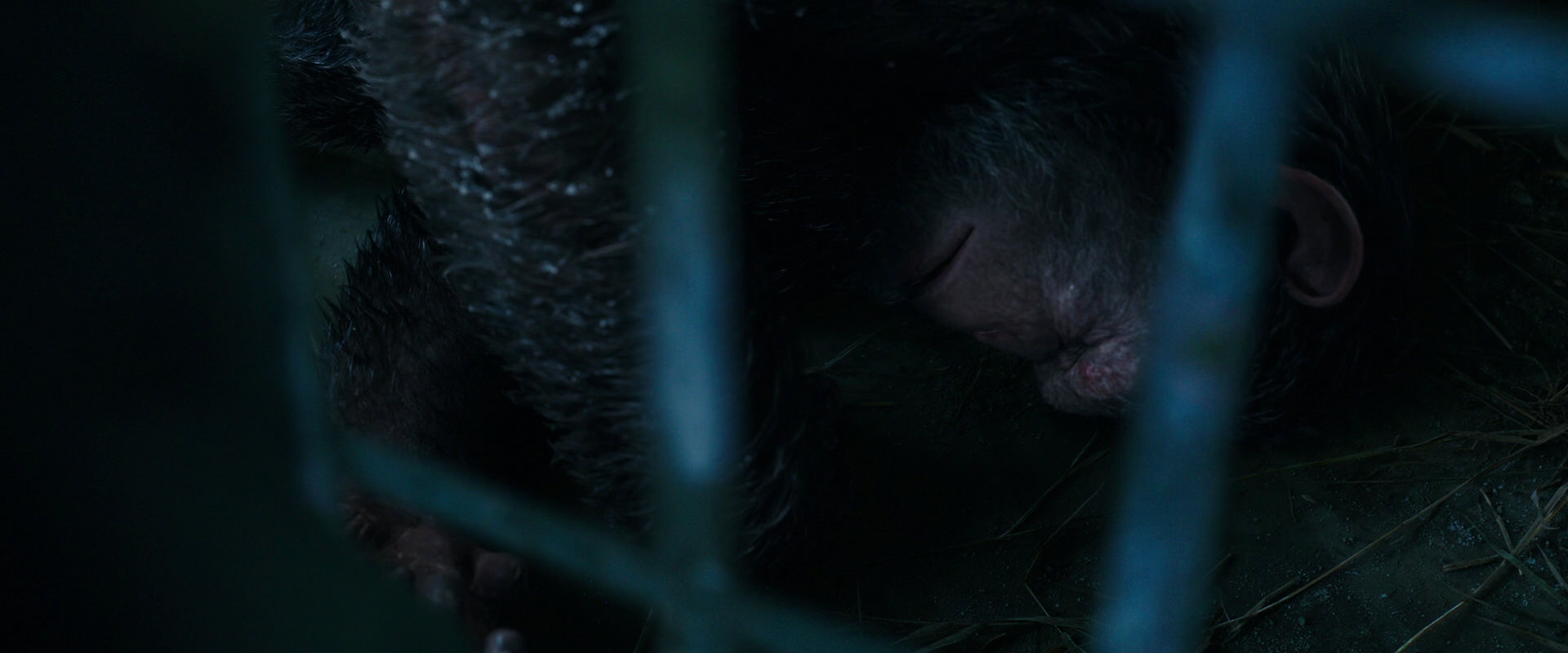 War for the Planet of the Apes (2017) HD screenshot 10724