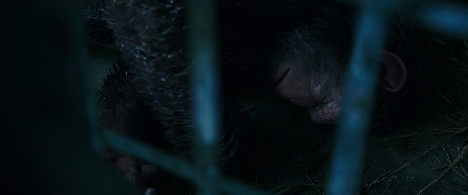 War for the Planet of the Apes (2017) screencap 10725