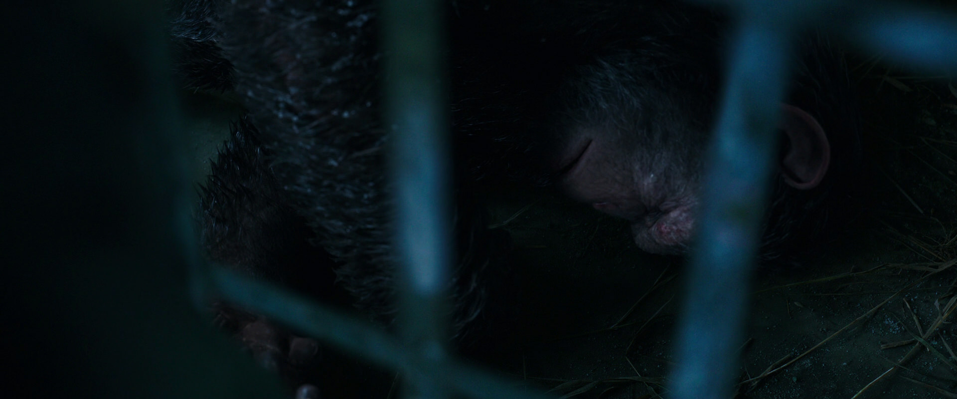 War for the Planet of the Apes (2017) movie still 10726