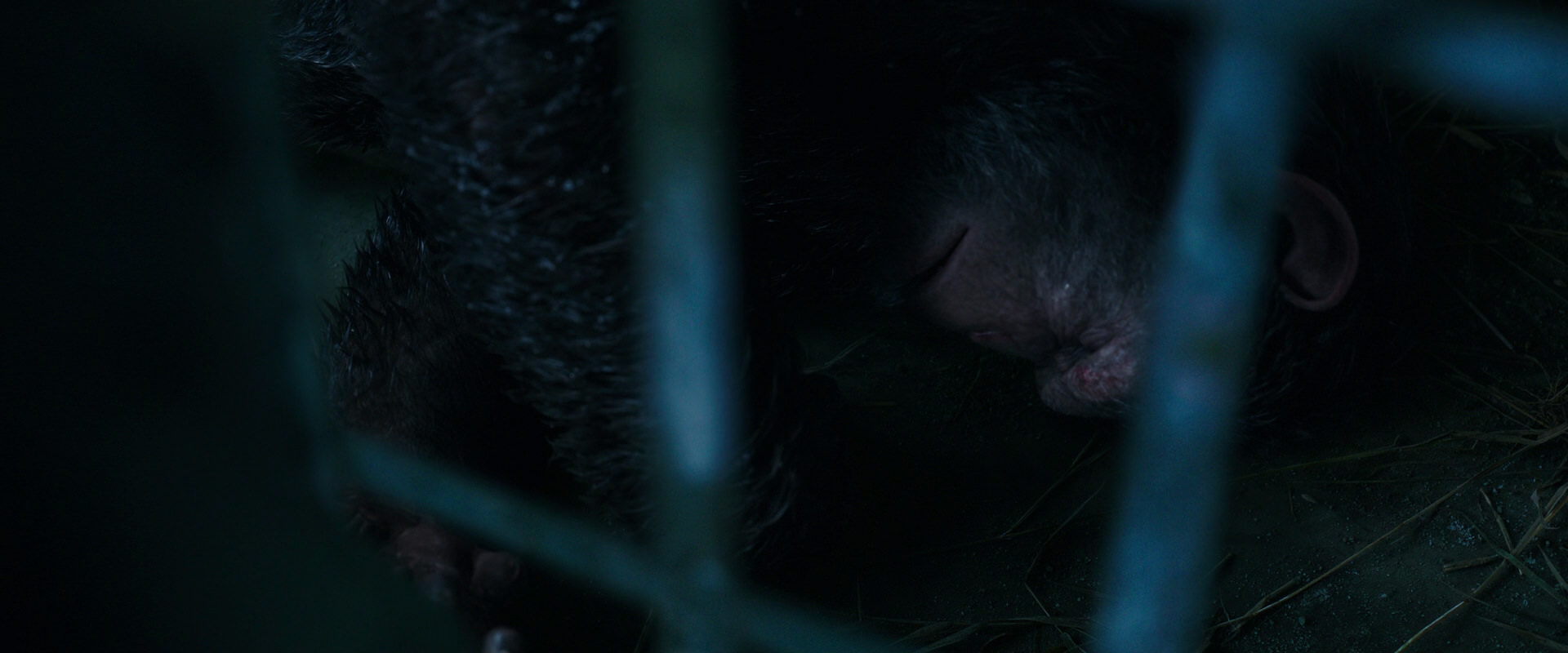 War for the Planet of the Apes (2017) HD screenshot 10727