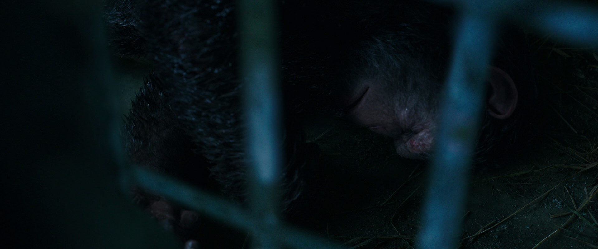 War for the Planet of the Apes (2017) screencap 10728