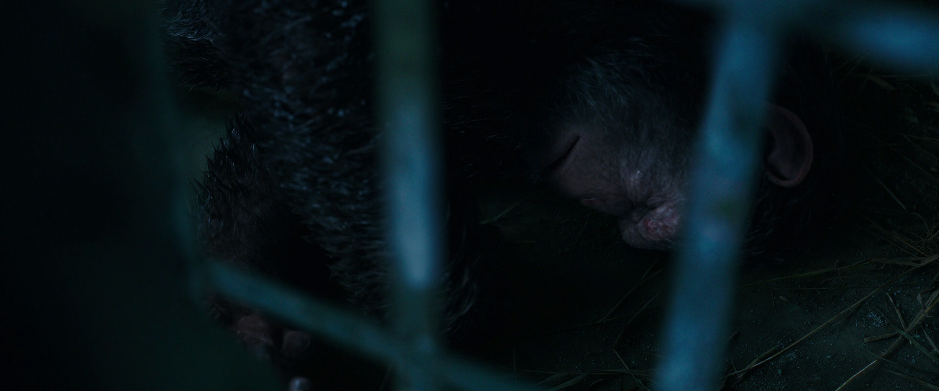 War for the Planet of the Apes (2017) movie still 10729