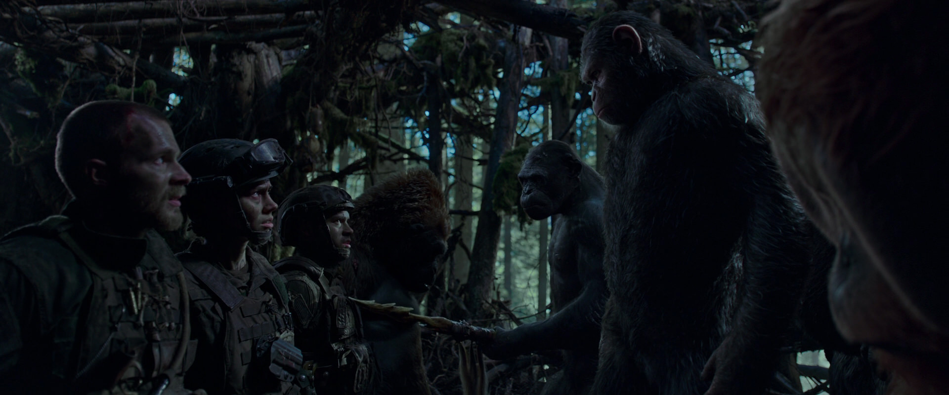 War for the Planet of the Apes (2017) HD screenshot 1073