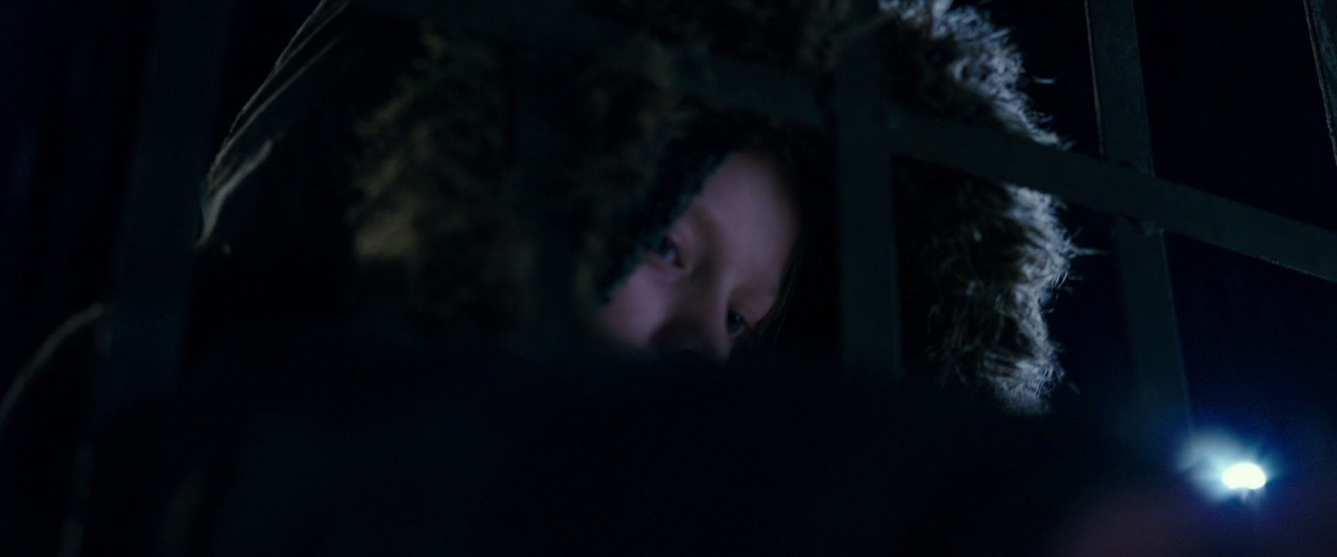War for the Planet of the Apes (2017) screencap 10749