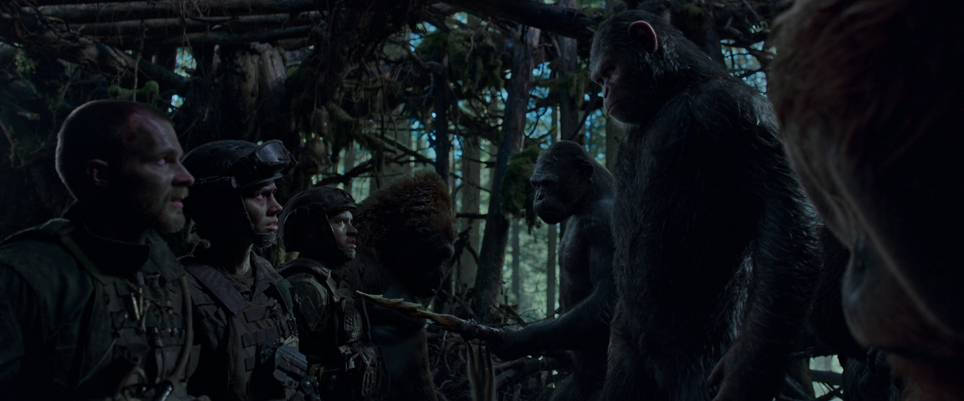 War for the Planet of the Apes (2017) movie still 1075