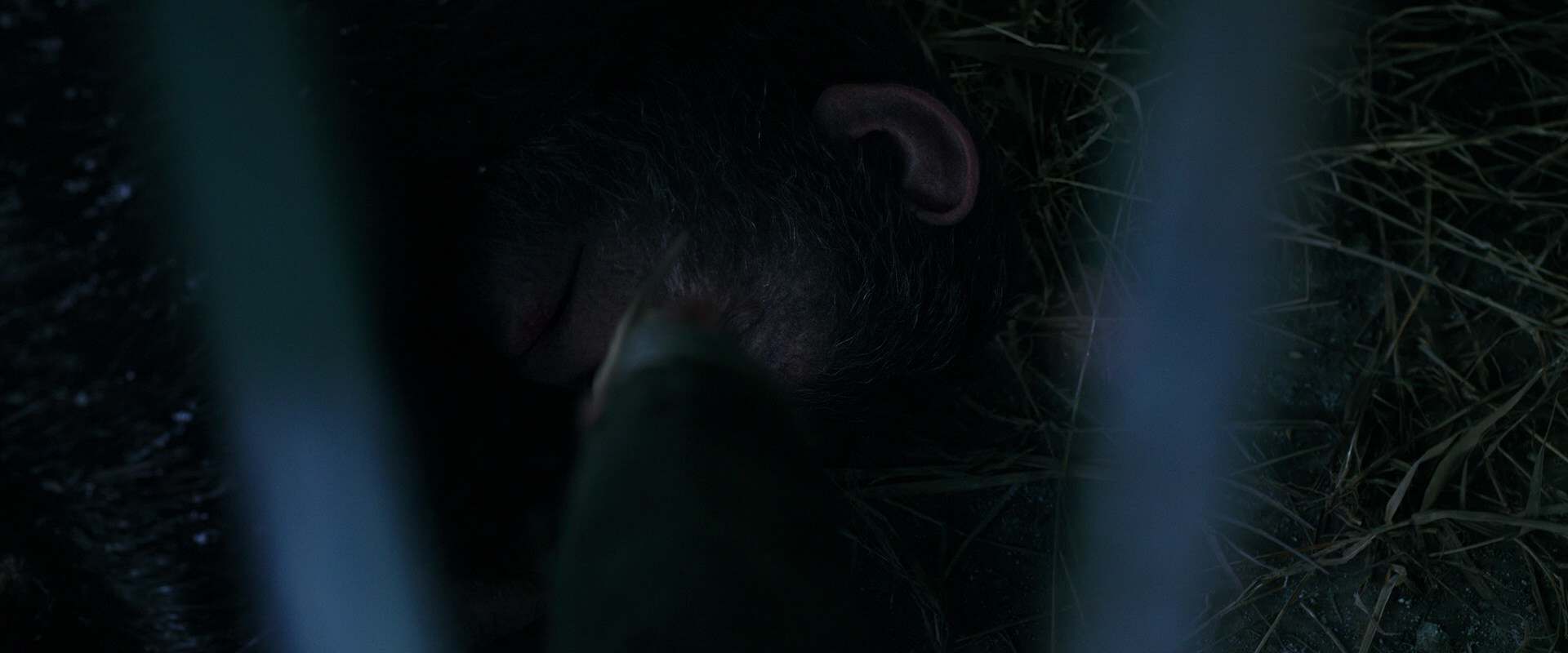 War for the Planet of the Apes (2017) HD screenshot 10751