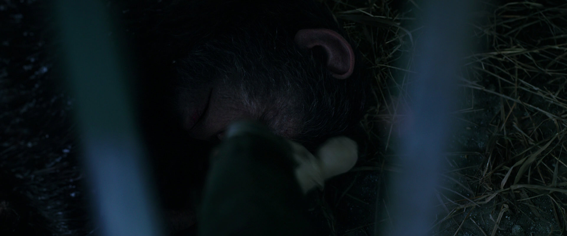 War for the Planet of the Apes (2017) screencap 10752