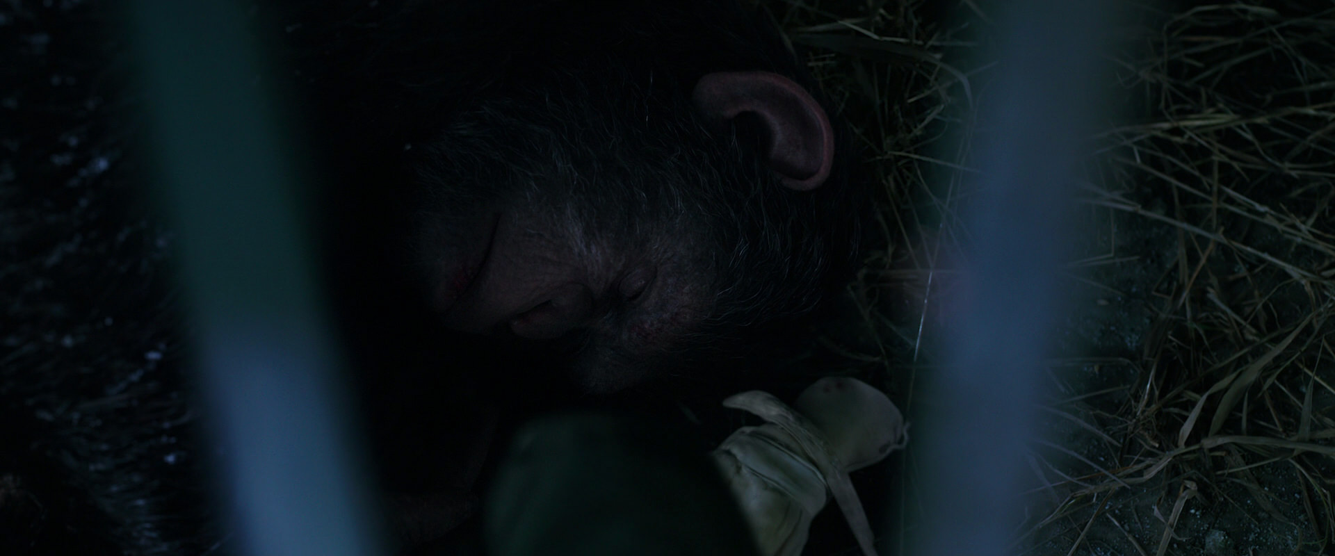 War for the Planet of the Apes (2017) movie still 10753