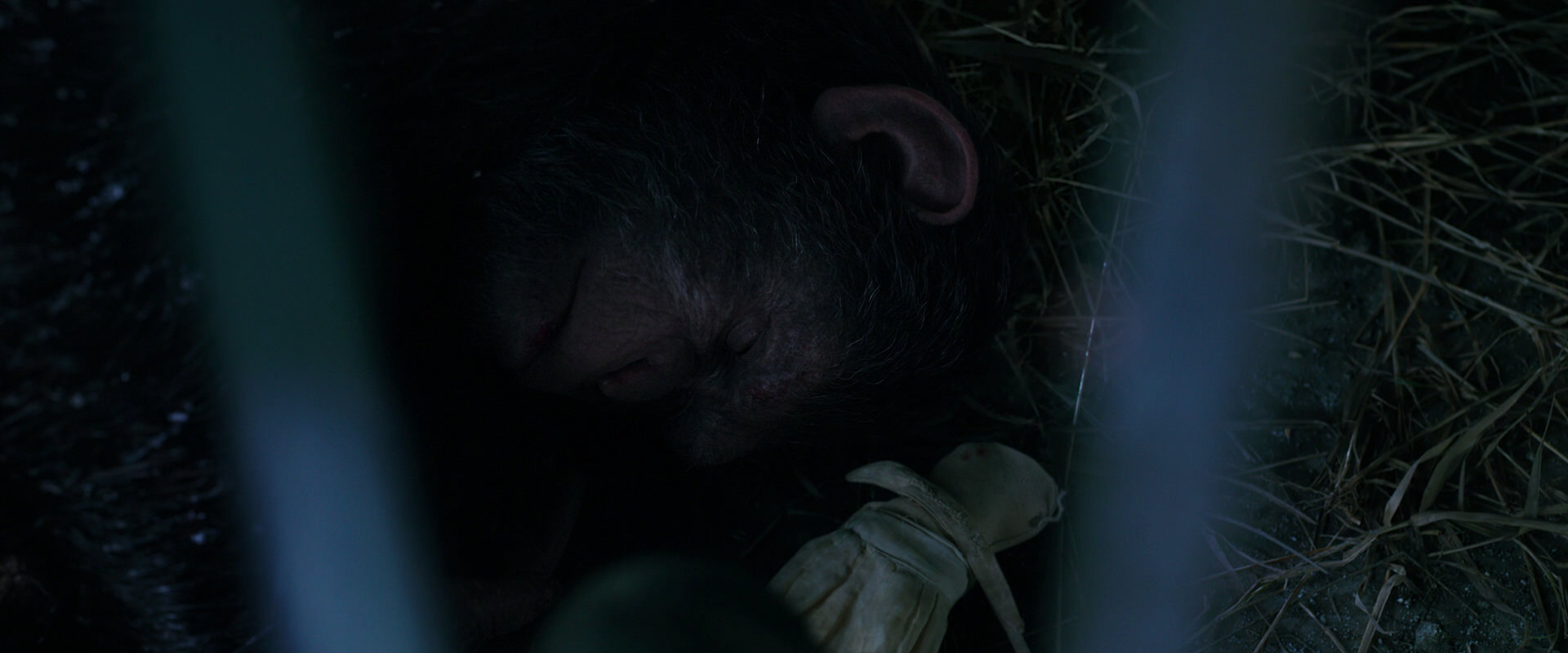 War for the Planet of the Apes (2017) screencap 10755