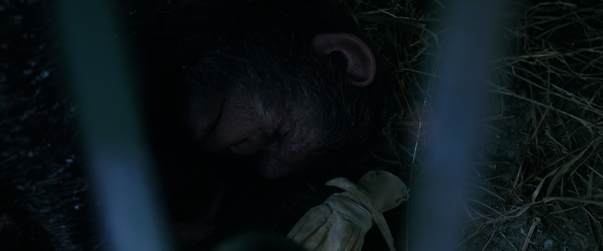 War for the Planet of the Apes (2017) movie still 10756