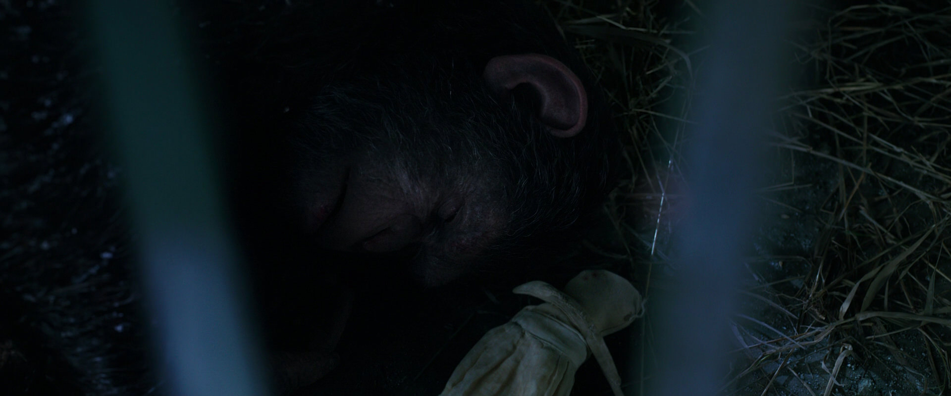War for the Planet of the Apes (2017) screencap 10758