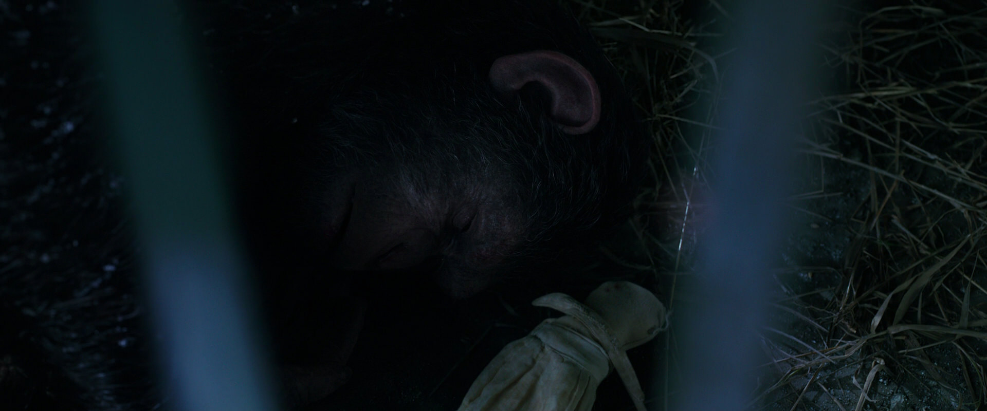 War for the Planet of the Apes (2017) HD screenshot 10760