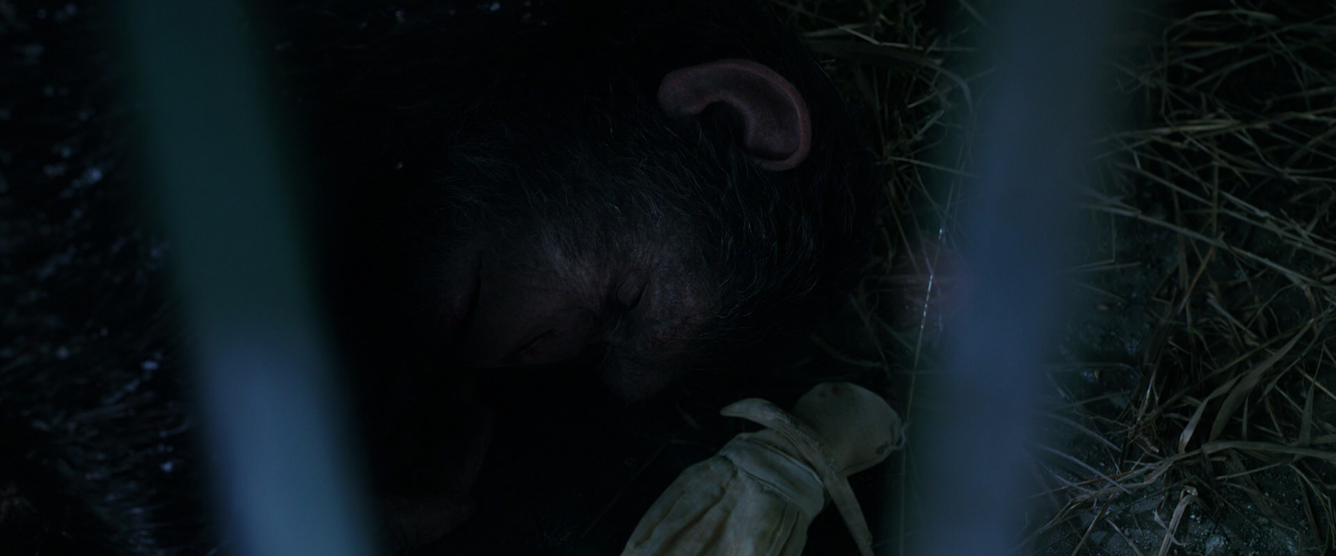 War for the Planet of the Apes (2017) screencap 10761