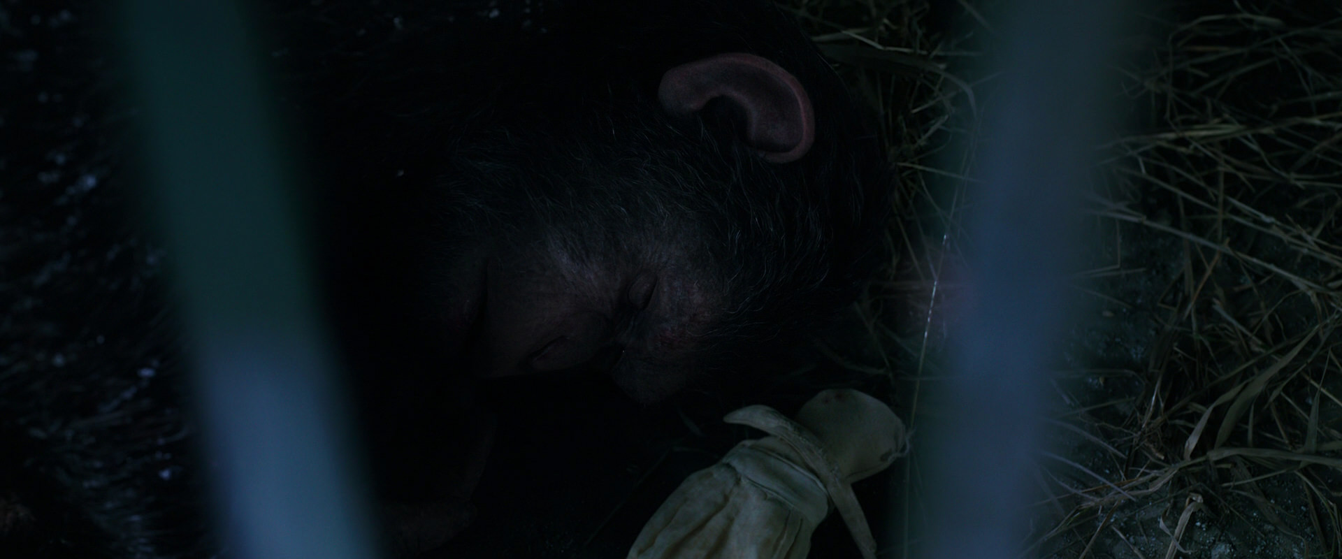 War for the Planet of the Apes (2017) movie still 10762