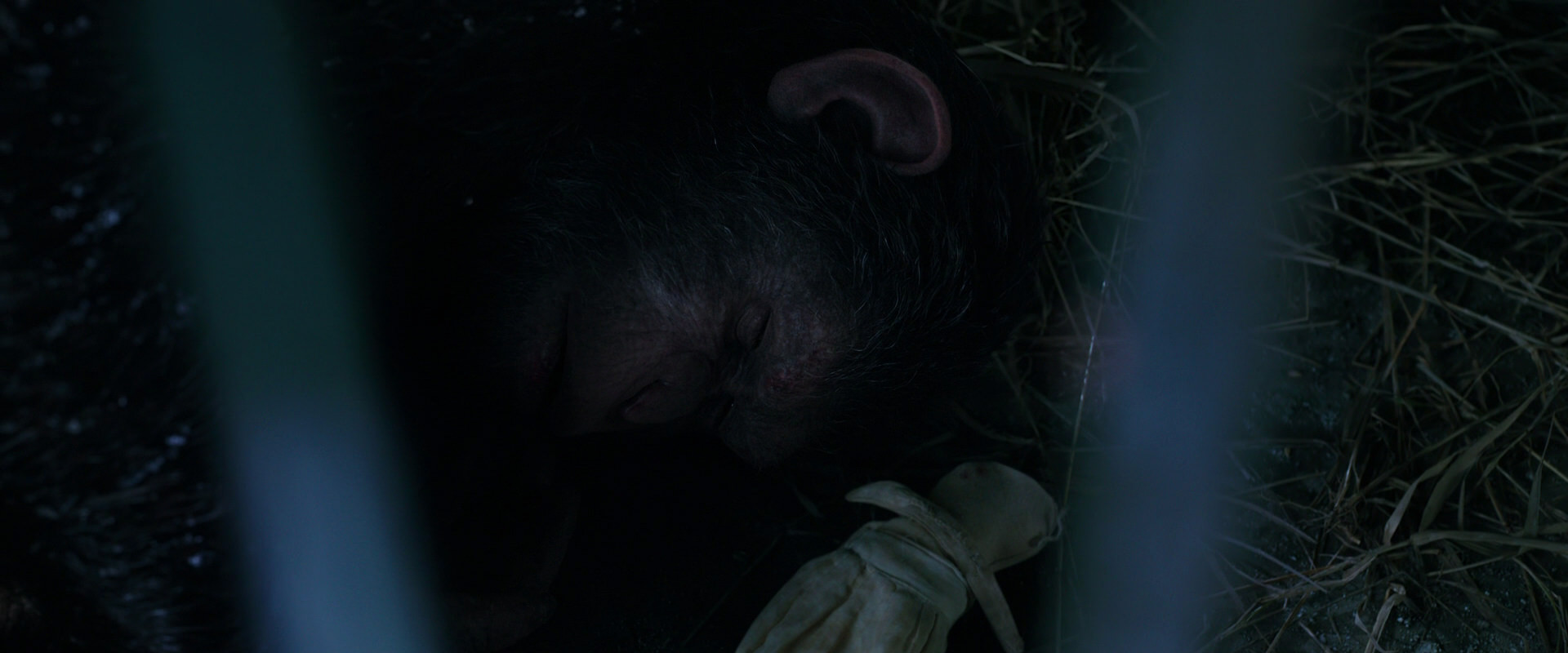 War for the Planet of the Apes (2017) HD screenshot 10763