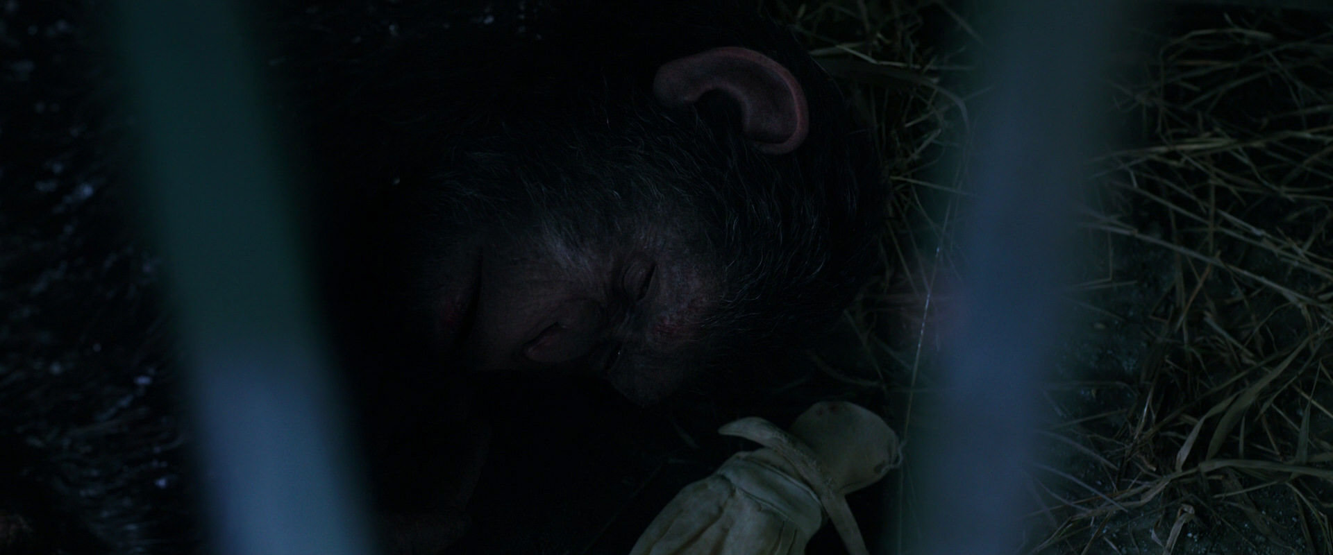 War for the Planet of the Apes (2017) screencap 10764